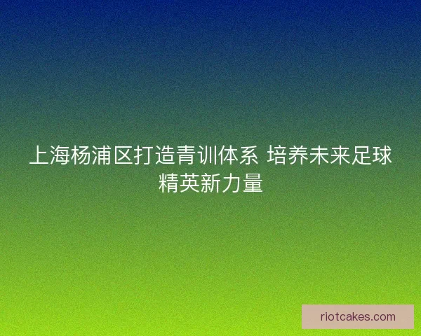 上海杨浦区打造青训体系 培养未来足球精英新力量 上海杨浦区打造青训体系 培养未来足球精英新力量