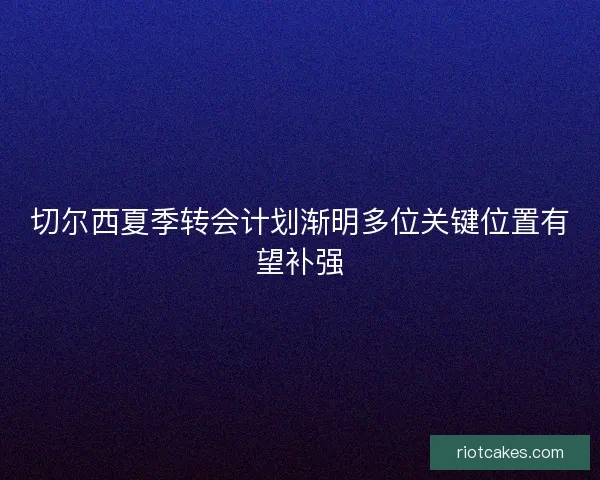 切尔西夏季转会计划渐明多位关键位置有望补强 切尔西夏季转会计划渐明多位关键位置有望补强